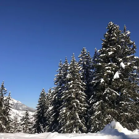 Gollet - Le Gollet 68 - Divisible Avec Vue Montagnes Mae-7461 Lägenhet *